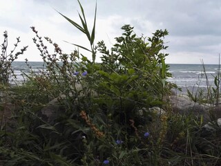 Holiday house Råbylille Strand  25