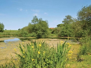 Ferienhaus Råbylille Strand  12
