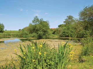 Maison de vacances Råbylille Strand  4