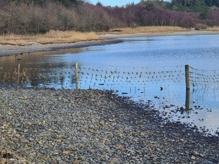 Vakantiehuis Helligsø  28