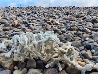 Ferienhaus Helligsø  24