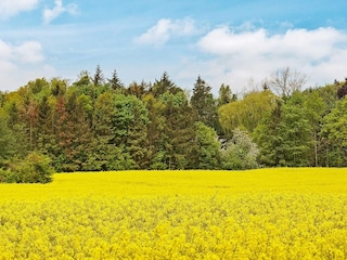 Ferienhaus Olpenitz  15