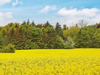 Maison de vacances Olpenitz  15