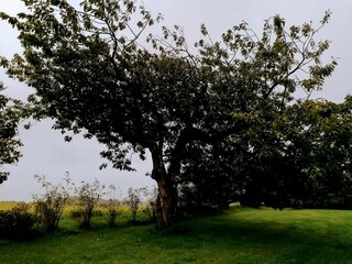 Casa per le vacanze Løkken  7