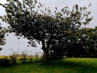 Holiday house Løkken  19