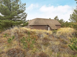 Vakantiehuis Blåvand  3