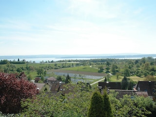 Viewing Lake Constance