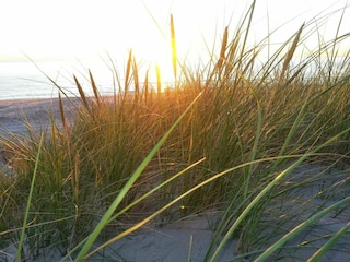 Ferienhaus Hirtshals  7