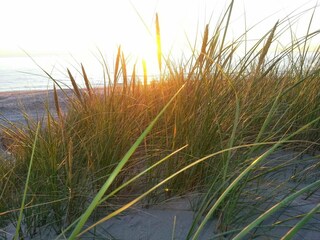 Maison de vacances Hirtshals  7