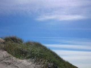Ferienhaus Hirtshals  22