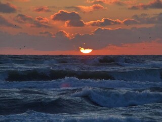 Vakantiehuis Hirtshals  38