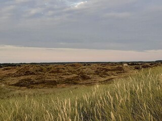 Vakantiehuis Vejers Strand  20