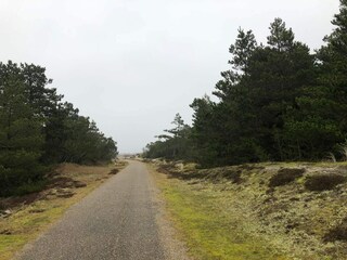 Vakantiehuis Vejers Strand  21