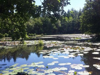 Vakantiehuis Aalbæk  13