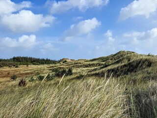 Maison de vacances Aalbæk  27