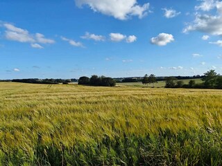 Vakantiehuis Hejlsminde  8