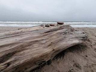 Ferienhaus Thorsminde  13