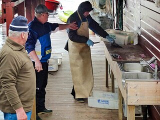 Holiday house Masfjorden  51