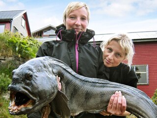 Casa per le vacanze Masfjorden  60