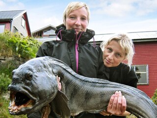 Maison de vacances Masfjorden  43