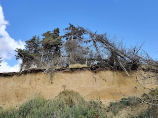 Holiday house Knud Strand  36