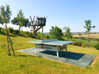 Appartamento per vacanze Montecarotto Ambiente 20