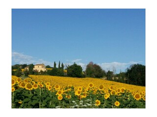 Appartamento per vacanze Montecarotto Ambiente 22