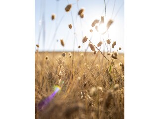 Appartamento per vacanze Montecarotto Ambiente 25