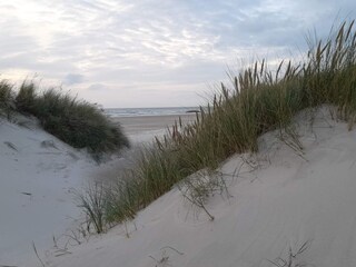 Vakantiehuis Saltum Buitenaudio-opname 2