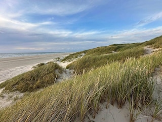 Ferienhaus Saltum  18