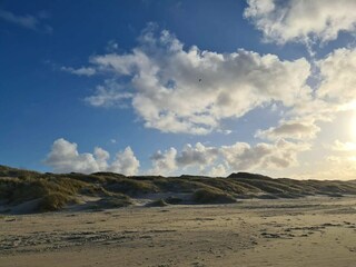 Ferienhaus Saltum  21