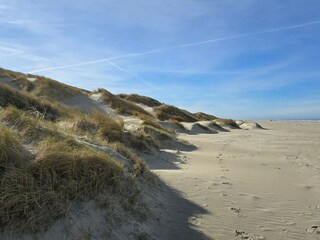 Ferienhaus Saltum  22