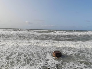 Ferienhaus Saltum  14