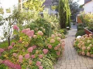 Apartment Sipplingen Environment 7