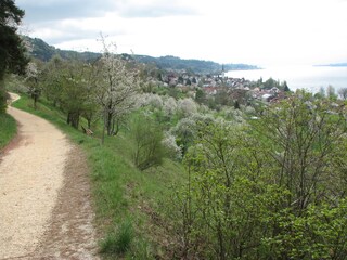 Apartment Sipplingen  17