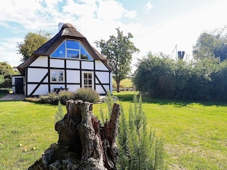 Maison de vacances Humble  15