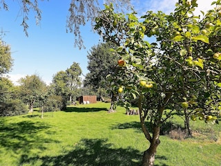 Ferienhaus Humble  9