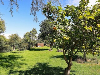 Vakantiehuis Humble  21