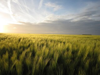 Maison de vacances Saint-Aubin-sur-Mer Environnement 28