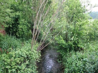 Vakantiehuisje Saint-Aubin-sur-Mer Omgeving 31