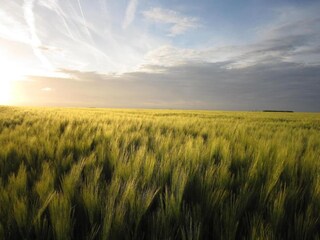 Casa vacanze Saint-Aubin-sur-Mer Ambiente 37