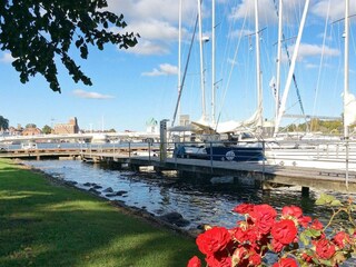 Ferienhaus Olpenitz  9