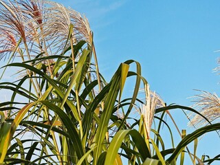 Holiday house Olpenitz  26