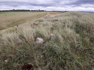 Casa per le vacanze Dannemare  12