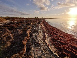 Ferienhaus Dannemare  27