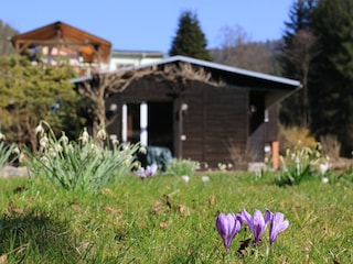 Blick auf den Ferienbungalow "Ochel"