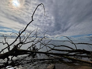 Vakantiehuis Juelsminde  36