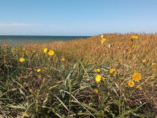 Vakantiehuis Vellerup  39