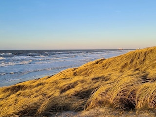 Holiday house Hirtshals  8