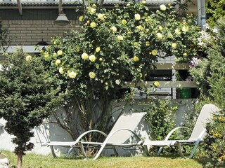 Casa de vacaciones Nykøbing Sjælland  18